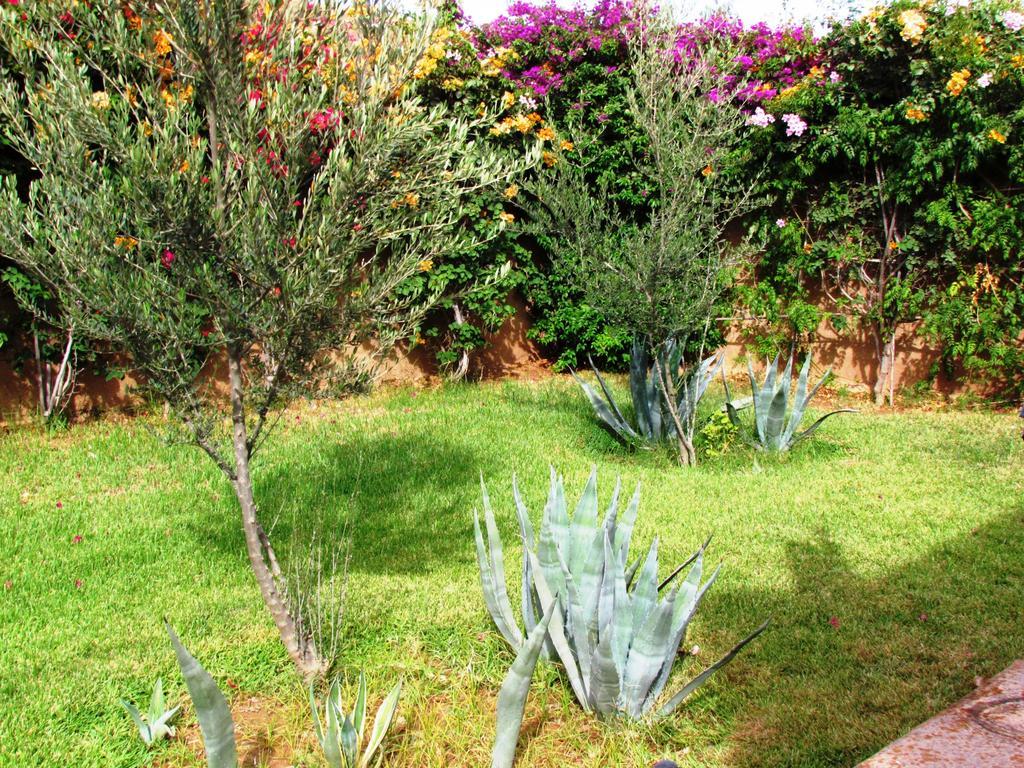 Le Jardin Des Epices Ξενοδοχείο Ταρουντάντ Εξωτερικό φωτογραφία