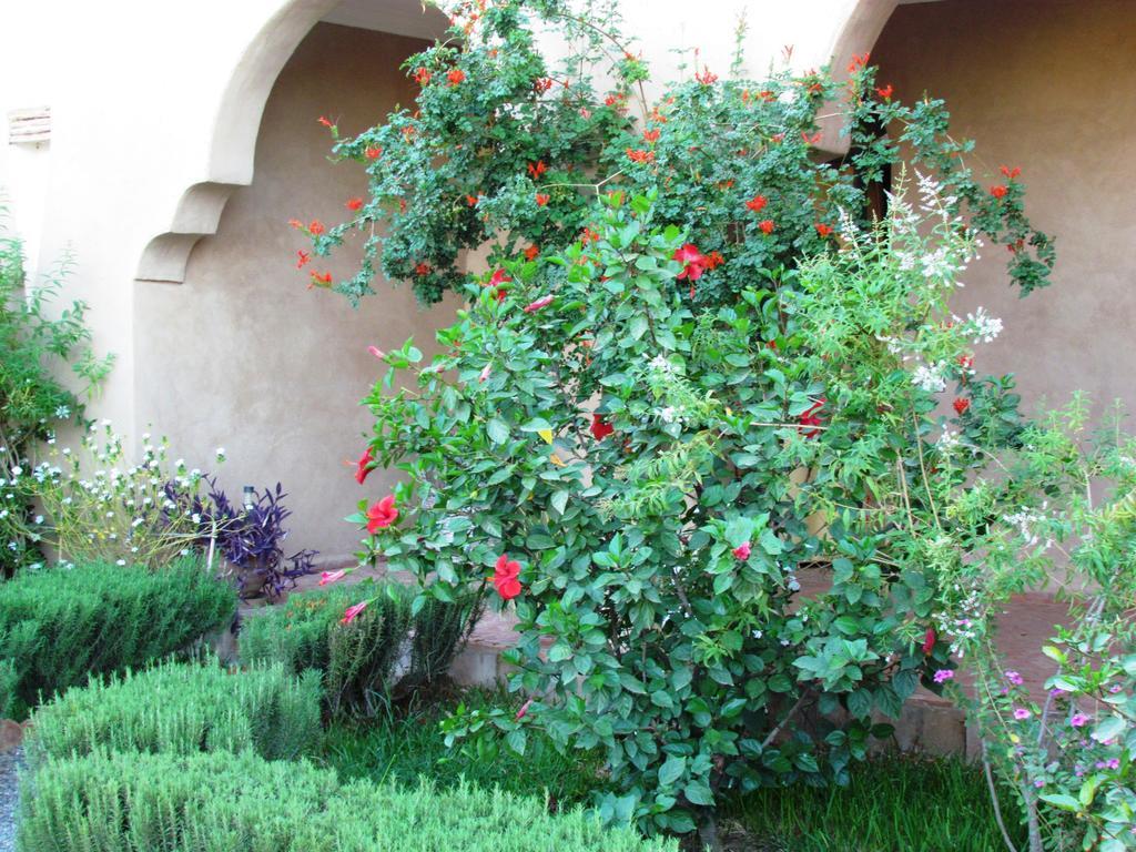 Le Jardin Des Epices Ξενοδοχείο Ταρουντάντ Εξωτερικό φωτογραφία