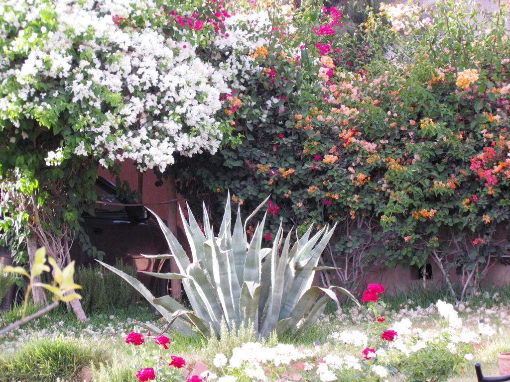 Le Jardin Des Epices Ξενοδοχείο Ταρουντάντ Εξωτερικό φωτογραφία