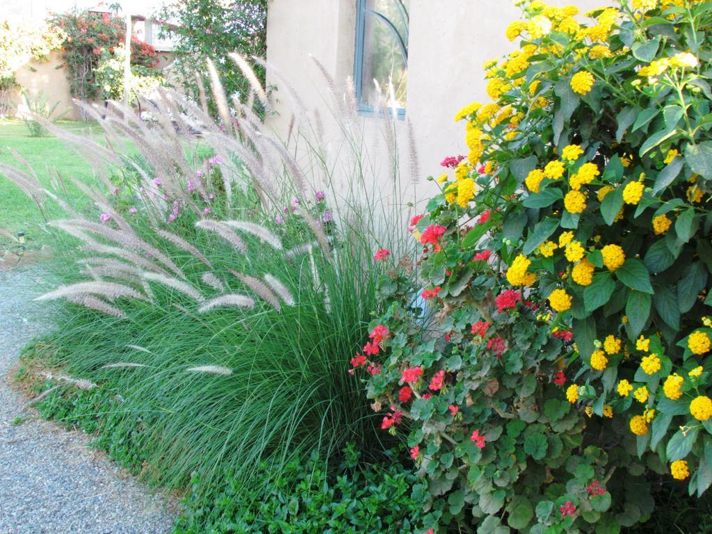 Le Jardin Des Epices Ξενοδοχείο Ταρουντάντ Εξωτερικό φωτογραφία